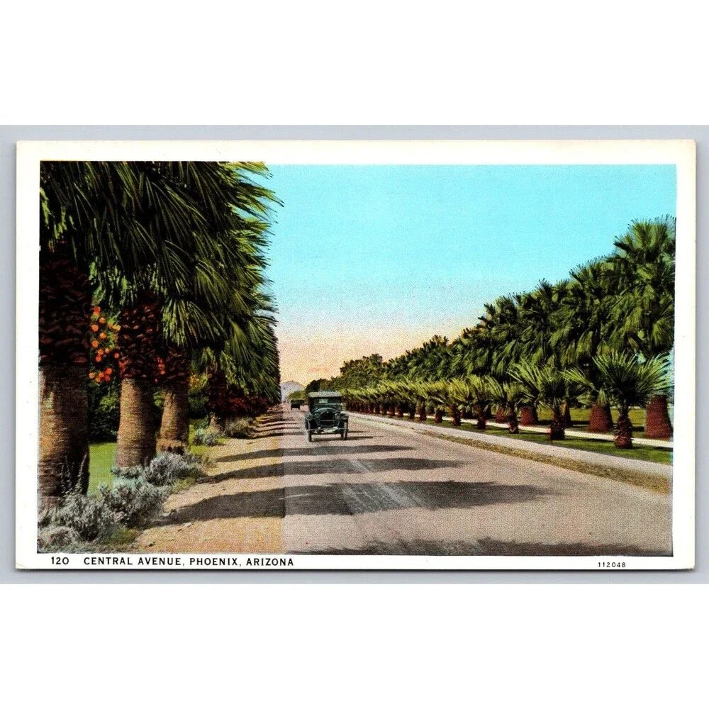 Phoenix AZ Central Avenue Palm Trees Antique Postcard 1920s Harry Herz 112048